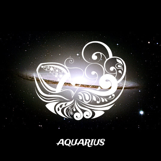 The 'Sea of Aquarius: Social Values'